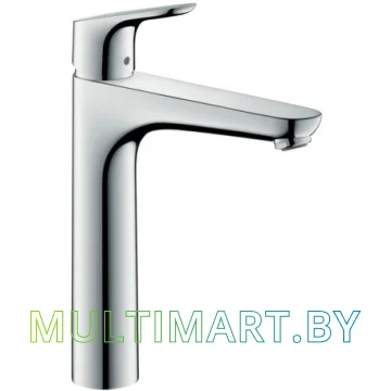 Смеситель Hansgrohe Focus E2 31608000